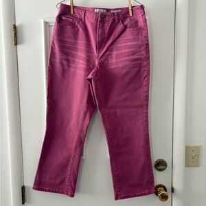 LOGO by Lori Goldstein Women's Pinky/Red Baby Boot Leg Crop Jeans